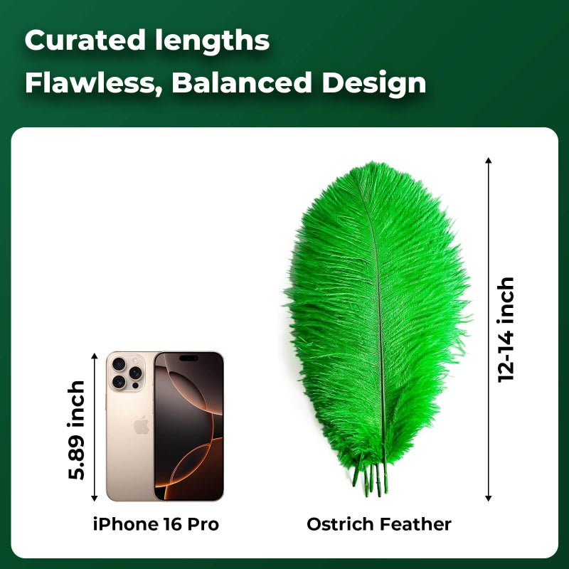 Piokio 20 pcs Green Ostrich Feathers 12-14 inch(30-35 cm) Bulk Feathers for Home Decoration and DIY Clothing and St. Patrick Decoration, Gatsby Decorations - Image 2